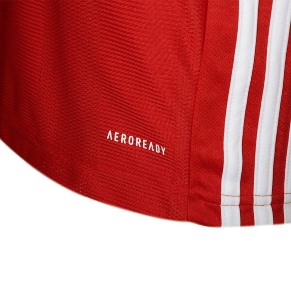 MAILLOT BAYERN MUNICH LEWANDOWSKI DOMICILE 2020-2021