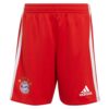 9371 PACK BAYERN MUNICH DOMICILE DAVIES. ENSEMBLE ADULTE MAILLOT ET SHORT 2022 2023