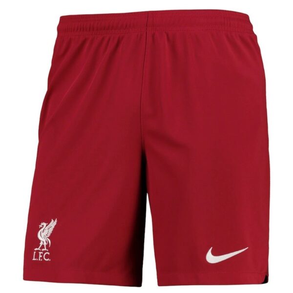 PACK LIVERPOOL DOMICILE DARWIN ADULTE 2022-2023