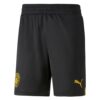 9979 PACK MANCHESTER CITY EXTERIEUR GREALISH. ENSEMBLE ADULTE MAILLOT ET SHORT 2022 2023