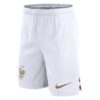 10809 PACK FRANCE DOMICILE. ENSEMBLE ADULTE MAILLOT ET SHORT 2022 2023