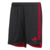 11188 PACK BELGIQUE DOMICILE. ENSEMBLE ADULTE MAILLOT ET SHORT 2022 2023