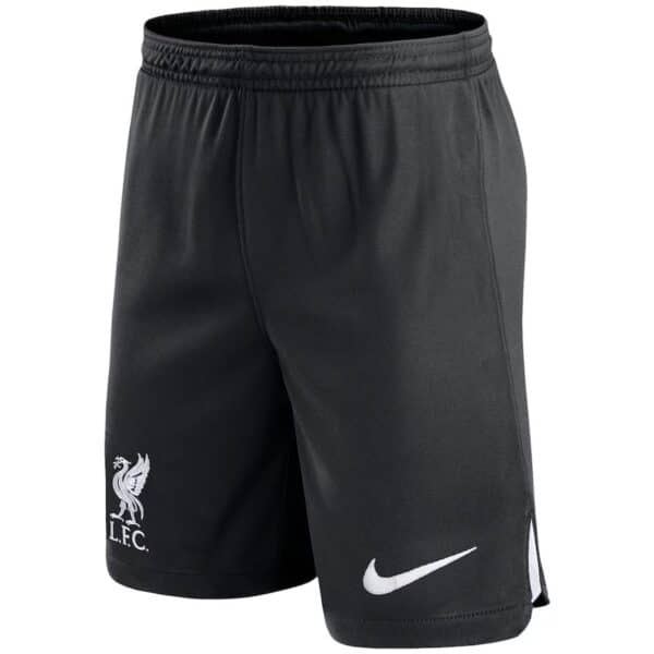 PACK LIVERPOOL EXTERIEUR GAKPO ADULTE 2023-2024